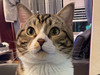 Mavis.W