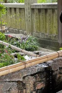 まやややや ホテルセレクトイン宇都宮 クーポン