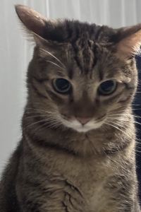 姆姆呀 台北麗之湯溫泉會館優惠