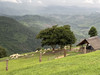 Palooktravel