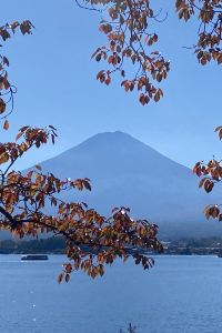 訪客用戶 密涅瓦教堂飯店優惠