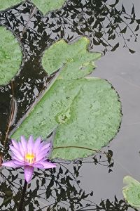 小丸子愛玩 莫泰酒店（深圳大學南海大道店）優惠
