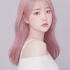 남극거주곰