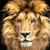 @Lion