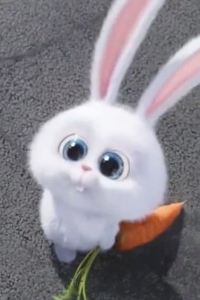 냐냥냐
