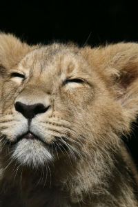 fjord7 甲米悅榕莊優惠