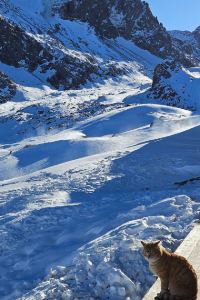 TravellerBob 桂林灕江大瀑布飯店（象鼻山兩江四湖店）優惠