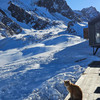 TravellerBob
