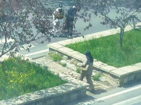 트립닷컴 회원