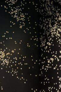 JoyceChou 高雄晶英國際行館優惠