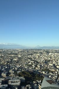 ニャッキ 横浜ロイヤルパークホテル クーポン