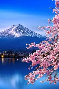 k3nnys0 檳城希爾頓逸林度假飯店優惠