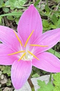 Sally.W 屏東灣稻旅居優惠