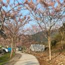 Yu Yu趣旅行