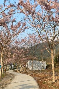 Yu趣旅行 臺中水雲端旗艦概念旅館優惠
