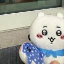 訪客用戶