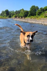 訪客用戶 新加坡81飯店-好萊塢優惠