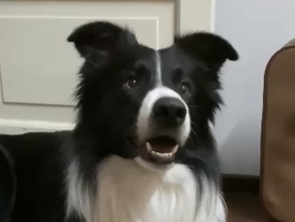 Agustin (@agustintravel)