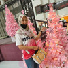 DewiLeo