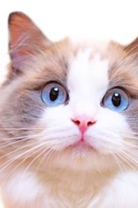 /ヒロ/ ホテルフクラシア大阪ベイ クーポン