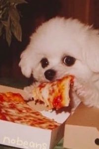 ponzd 臺北見潭璞旅優惠