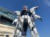 eighter
