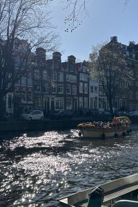 Elvis924 鹿特丹市中心宜必思酒店優惠