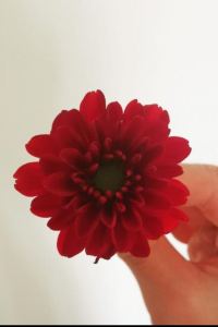 oNAir 空氣人 眺望の宿　しおり クーポン