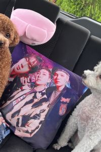 JINforever 永宗仁川機場飯店優惠