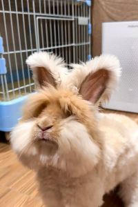 訪客用戶 VIA INN 飯田橋後樂園優惠