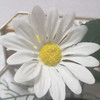 Tai Dernel