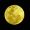 moon chaser