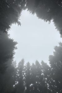 BC in BC 熱海温泉 湯宿一番地 クーポン