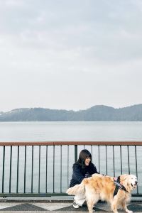 iwi Travelodge明洞南山彩鴻飯店優惠