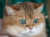 NampuMee
