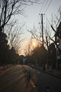 CHONG SEK HOU 鮪魚家族飯店-鹽埕館優惠