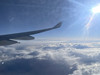rainbowtrip