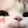 Avatar 3