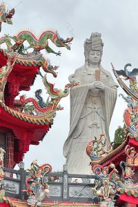 訪客用戶