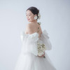 emer_lim