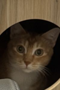 tinaaaaa_ ザ・バンブーフォレスト クーポン