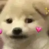 user-icon