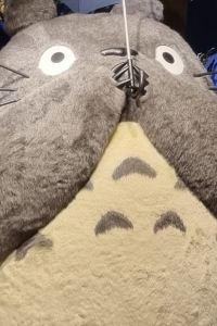 두부두부부 코코모 호텔 쿠폰