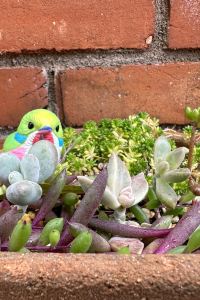 Kaz wow かりゆしコンドミニアムリゾート北谷　ROUTE58 クーポン