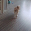 캐리네 가족