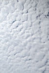 soft903 柏那卡精品酒店優惠