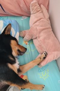 LIOCHENG 台北老爺大酒店優惠