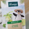 PENGUINsummer