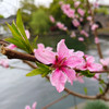 悠閒遊
