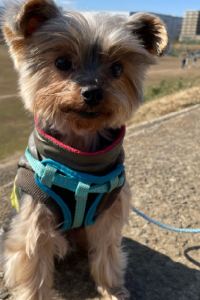 du120du インターナショナルリゾートホテル　湯楽城 クーポン